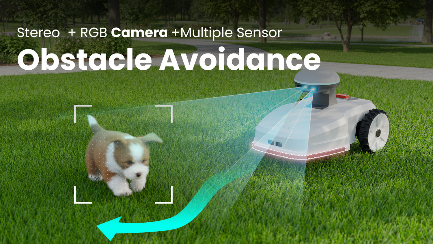 How to Compare Robotic Lawn Mower Models for Automation?